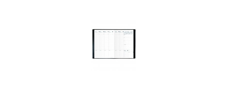 Agenda QUOVADIS CONSUL