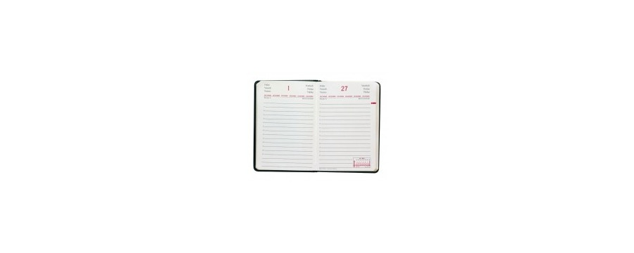 Agenda Quo Vadis Daily Pocket ML Silk - 8,5x13cm - avec élastique