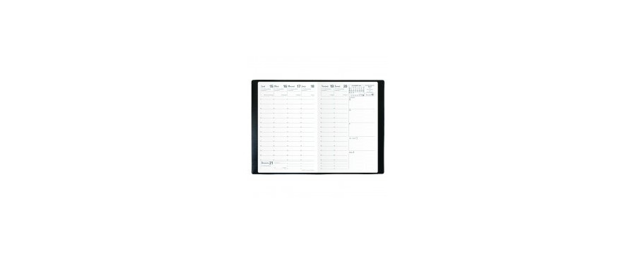 Agenda QUOVADIS AFFAIRES 10x15cm