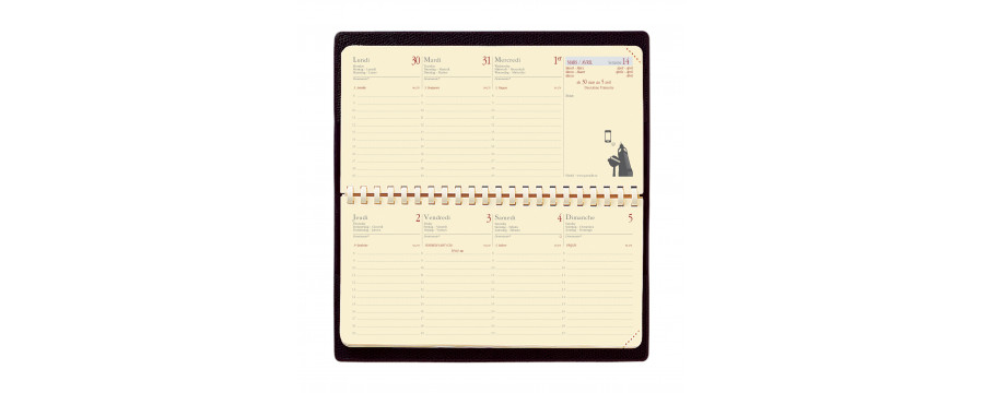 Agenda QUOVADIS PLANITAL 8x17cm