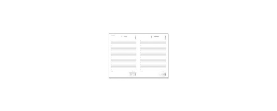 Agenda 2026 PAPERBLANKS - Janvier à Décembre - 1 jour par page (12mois)