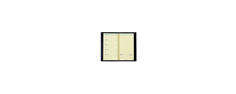 BREPOLS Agenda Notavision Barista 2024 26.3.1462 1W/2S beige/vert ML  9x16cm, CHF 17.21