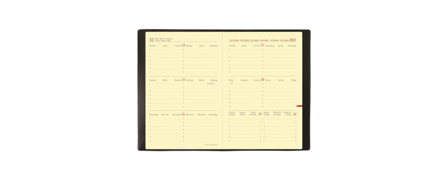 Agendas QUOVADIS Horizontal 24 SD ML