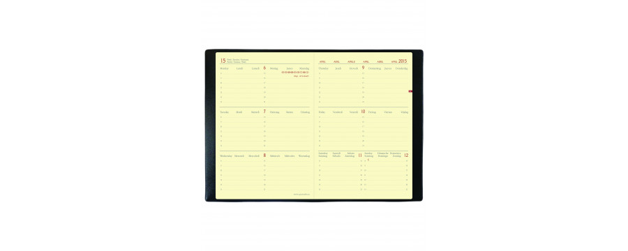 Agendas QUOVADIS Horizontal 15 SD ML