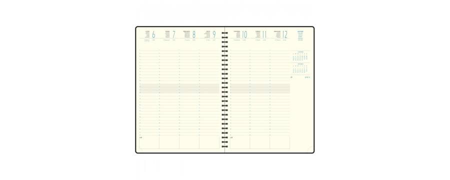 Agendas semainiers de bureau EXACOMPTA Eurotime 29W