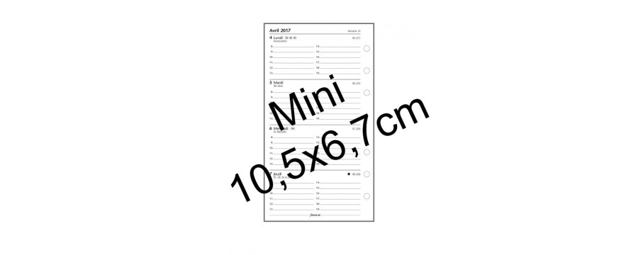 Recharge FILOFAX Mini 105x67mm - 5 perforations